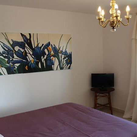 Saint-Paterne-Racan Bellevue Bed & Breakfast エクステリア 写真